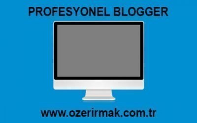 Profesyonel Blogger